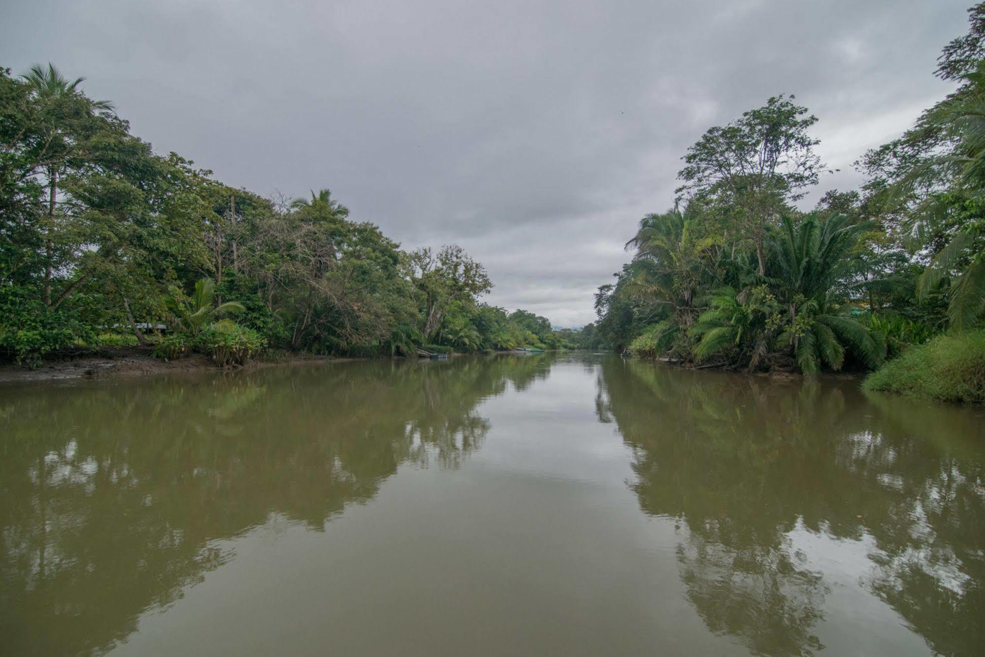 Hotel Sierpe River ภายนอก รูปภาพ